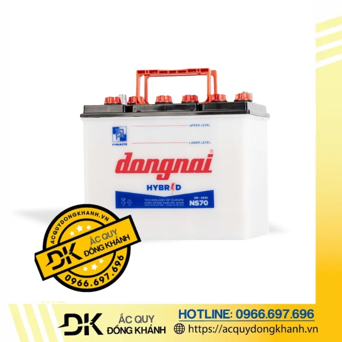 Ắc quy Đồng Nai 12V 65AH NS70